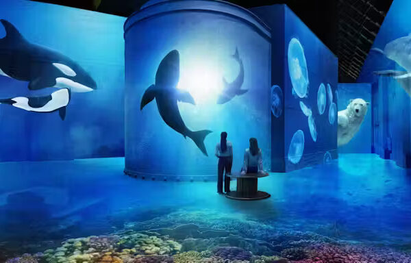 Fabrique des Lumières: The Sea