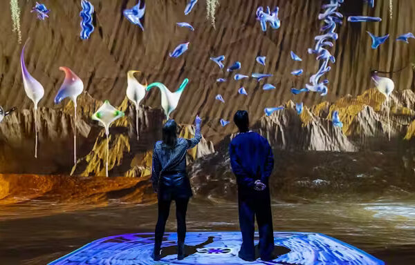 Nxt Museum: Entry Ticket